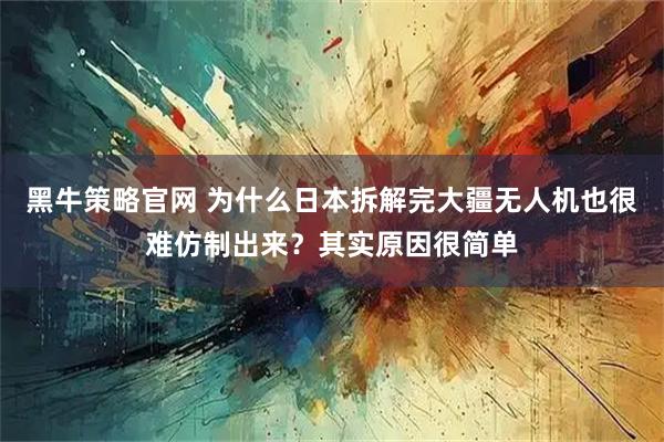 黑牛策略官网 为什么日本拆解完大疆无人机也很难仿制出来？其实原因很简单