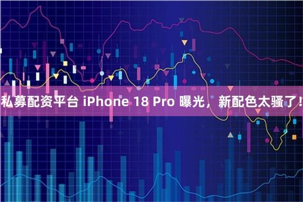 私募配资平台 iPhone 18 Pro 曝光，新配色太骚了！