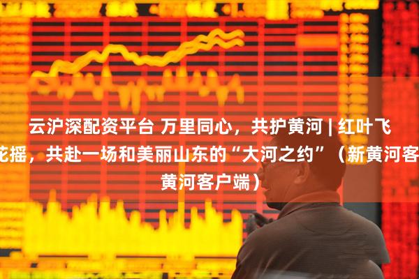 云沪深配资平台 万里同心，共护黄河 | 红叶飞、芦花摇，共赴一场和美丽山东的“大河之约”（新黄河客户端）